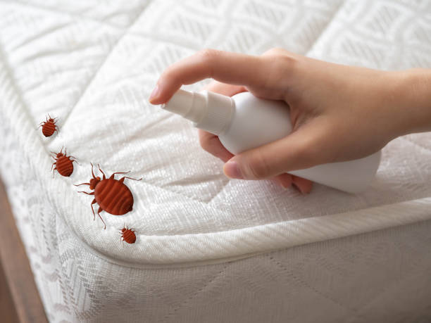Best Pest Inspection Near Me  in Carver, MN