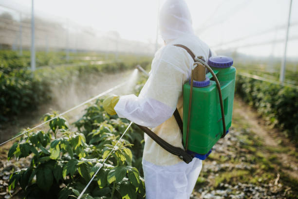Best Pest Control Near Me in Carver, MN